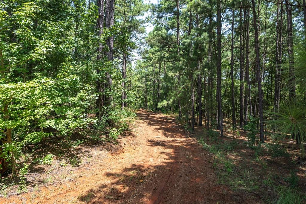 Tract 3 County Road 4102