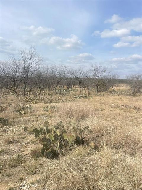 TBD County Road 221 Brookesmith TX 76827