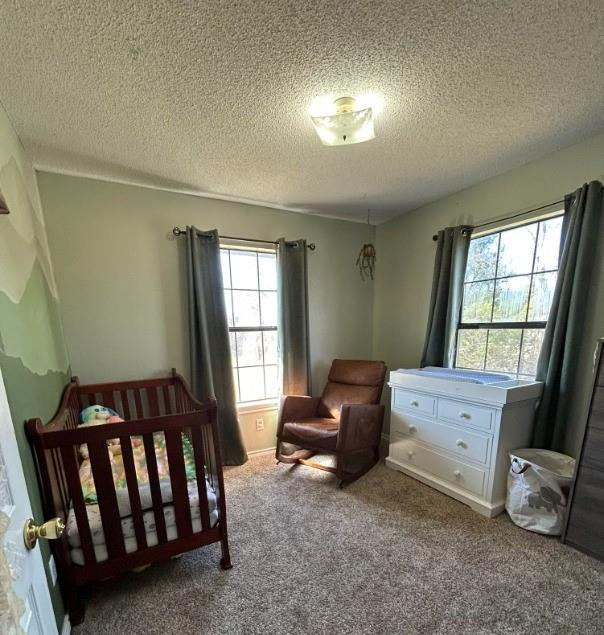 F M Meeks Surv Abs #560 - Residential