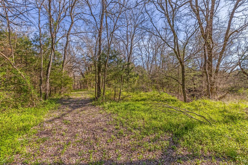 Benjamin Clark Survey - Farm