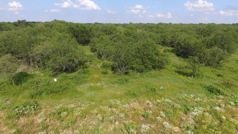 Paradise Oaks Ranch - Land