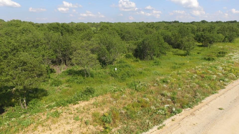 Paradise Oaks Ranch - Land