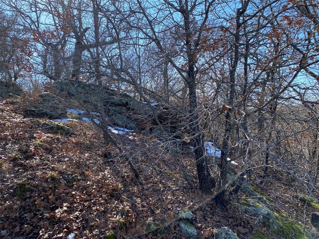 Silver Lakes Ranch - Land