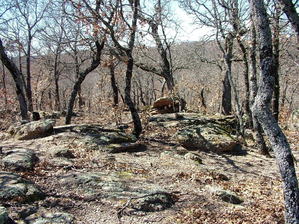 Silver Lakes Ranch - Land