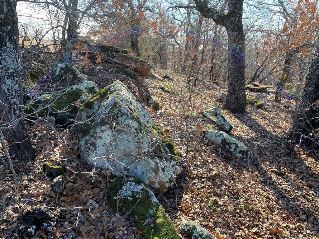 Silver Lakes Ranch - Land