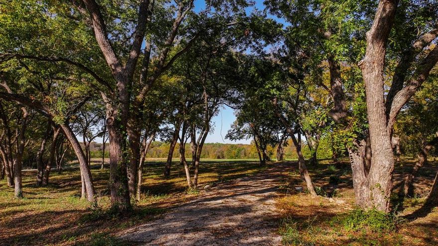 Escape to paradise just 0.7 miles from the city limits of McKinney. This picturesque landscape boasts a myriad of features, including city water connectivity, an established septic system, and paved county road frontage. Access through an impressive steel-gated entrance, equipped with electric gate openers, ensuring both security and convenience. A house pad and barn pad site have been thoughtfully prepared, setting the stage for your dream residence. 8 acres dedicated to food plots, surrounded by 11.25 acres of hardwood trees, including pecan, oak, and hickory. A 2.5-acre trophy bass lake awaits, with underwater structures. Adjoins the pristine expanse of United States Army Corps of Engineers land to the south.Boating enthusiasts will appreciate the property's proximity to Lake Lavon with a boat ramp just 5.7 miles. McKinney National Airport is located 5.8 miles away.As an added opportunity, the adjoining 14.815 acres are available for purchase by another owner.