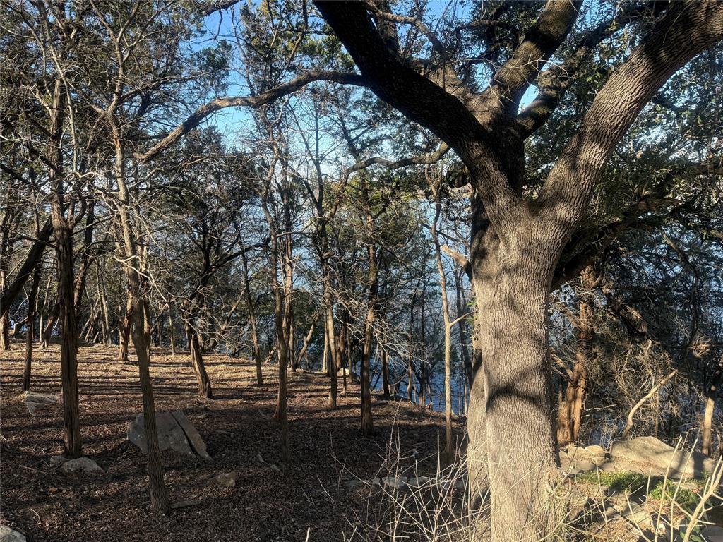 Canyon Creek II - Land