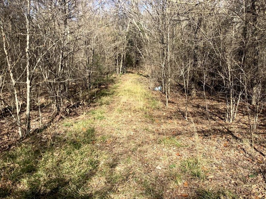 Heavily Trees, 75 acres, With endless possibilities, Build your dream home surrounding by trees, Great for development!
Aerobics Septic will need to be installed.