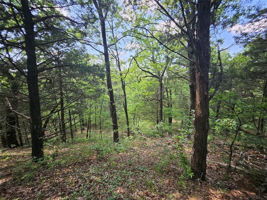 This Premium lot offers an expansive, unobstructed back view that stretches for miles and is located in the prestigious Wynstone section of Rock Creek.

Set on over a third of an acre at one of the highest points in the area, the lot is surrounded by mature trees offering a private, elevated setting perfect for building your dream home. As an added bonus, the purchase includes one complimentary week at the Villas, allowing you to experience the resort lifestyle firsthand.

Rock Creek is a rapidly growing, master-planned community with an increasing number of new homes and lot acquisitions. Residents enjoy an impressive array of amenities, including a community pool, clubhouse, restaurant, tennis and pickleball courts, and a fully equipped fitness center with both cardio and weight-training equipment.

The price includes a membership to the Rock Creek Golf Club, featuring a spectacular Nicklaus-designed course. Golf membership is just $100 per month and includes six rounds of golf—an exceptional value for enthusiasts.

Additional highlights include a full-service marina offering boat rentals, slip leases, and guided fishing trips. Outdoor lovers will appreciate the Cross Timbers hiking trail, which winds through the property. The community also offers the peace of mind of 24-7 gated security in a serene, resort-like setting.