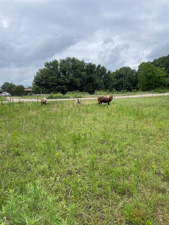 TBD Private Road 2545 - Photo 2
