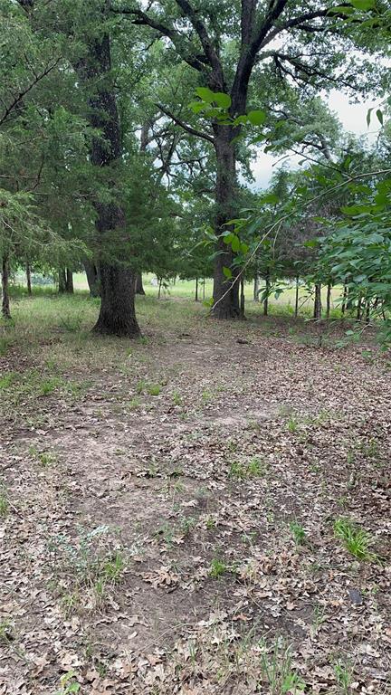 TBD Private Road 2545 - Photo 3