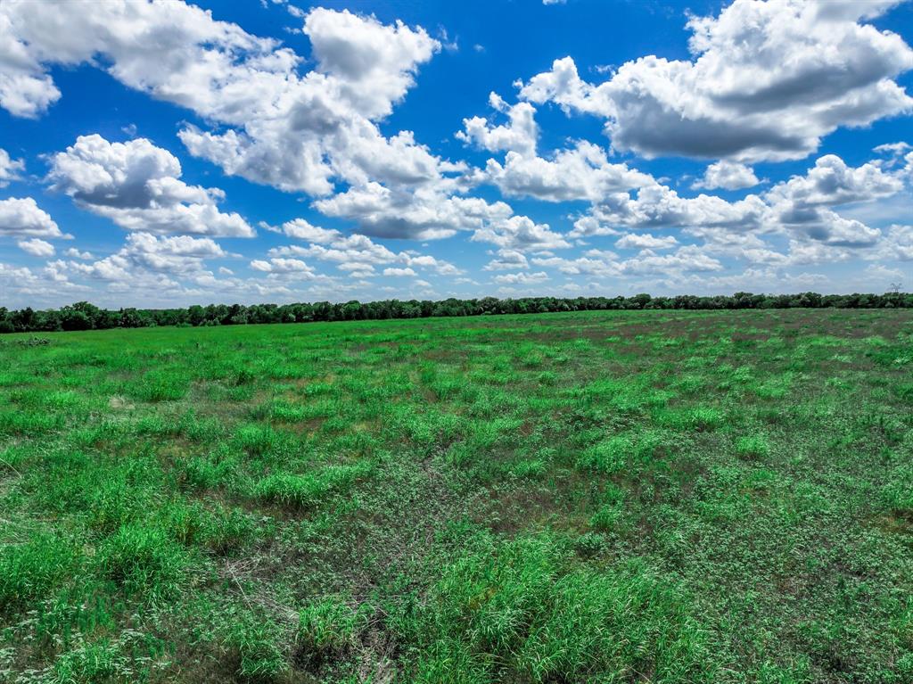 Juliet Porter Surv Abs 819 - Commercial Sale