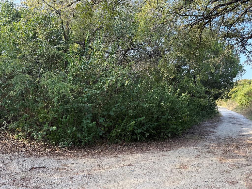 TBD Poppy Lane