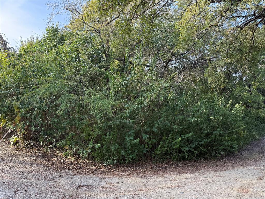 TBD Poppy Lane