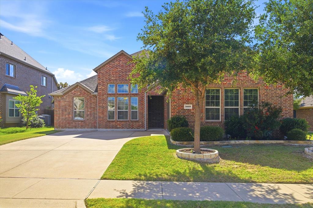 3909 Whitman Drive