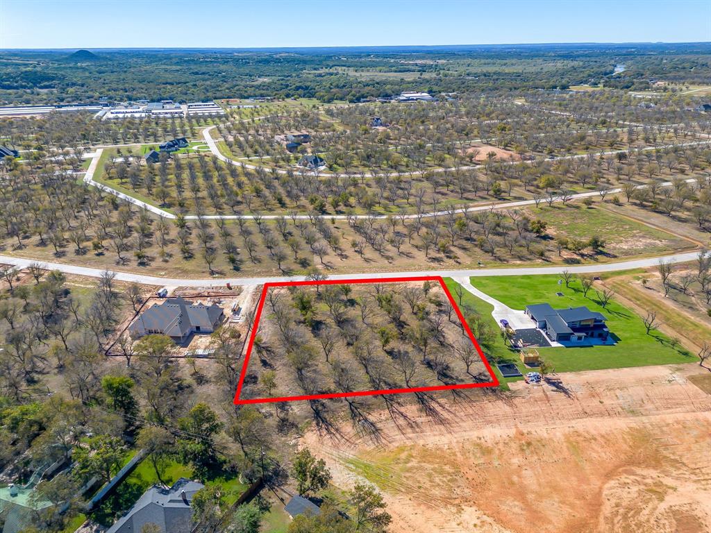 Pecan Plantation - Land