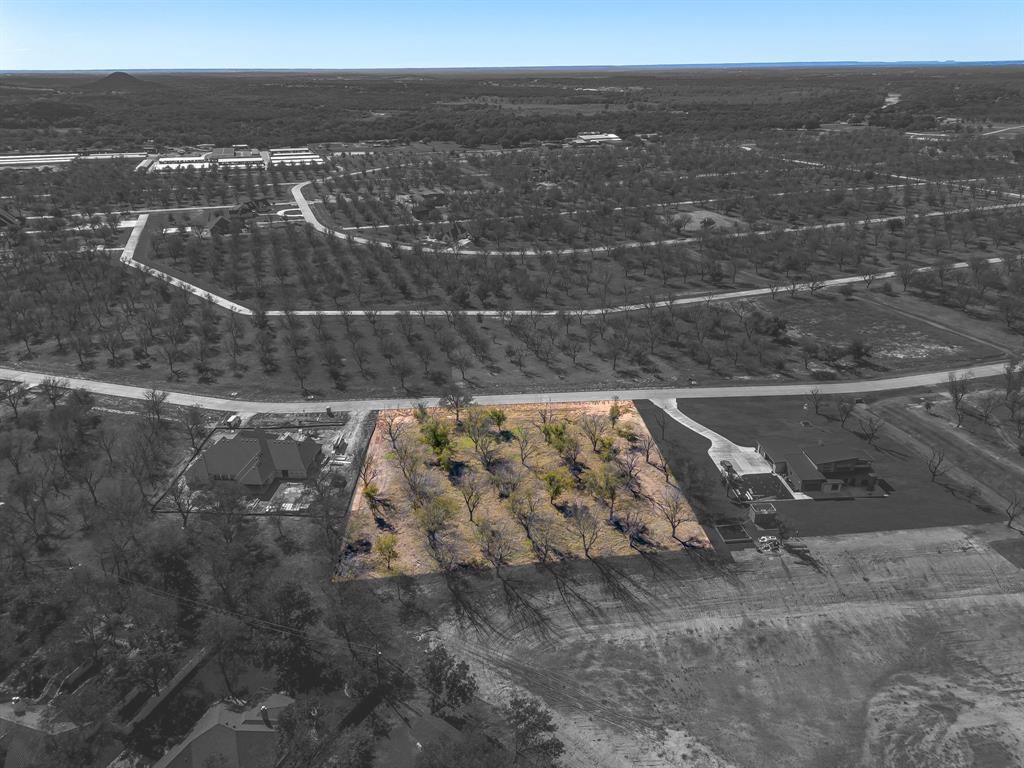 Pecan Plantation - Land