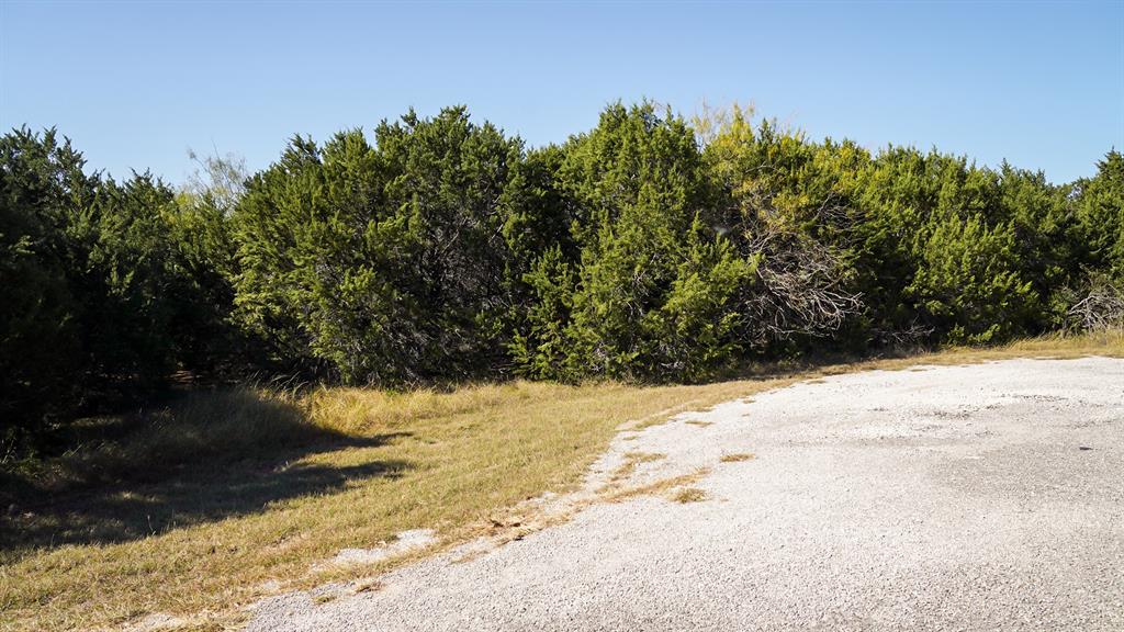 White Bluff #25 - Land