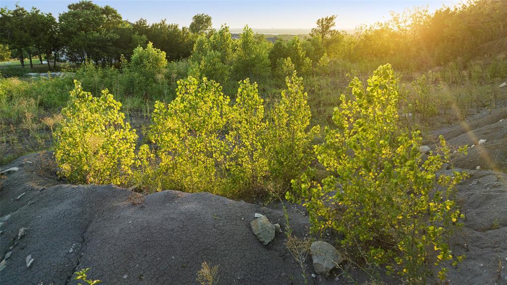 Lake Ridge Sec 07 Ph 01 Sh 01 - Land