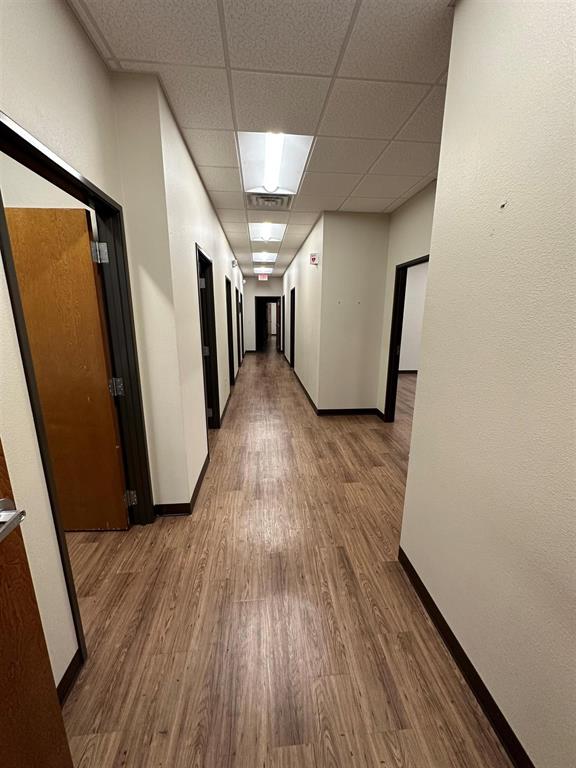 El Chico - Commercial Lease