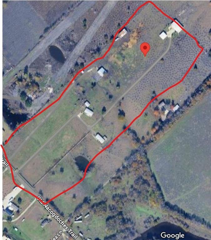 MARTHA MUSICK - Land