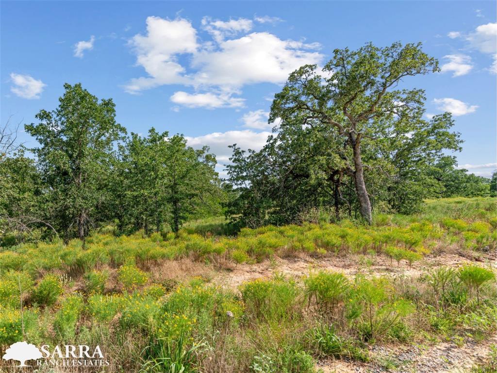 Sarra Ranch Estates - Land