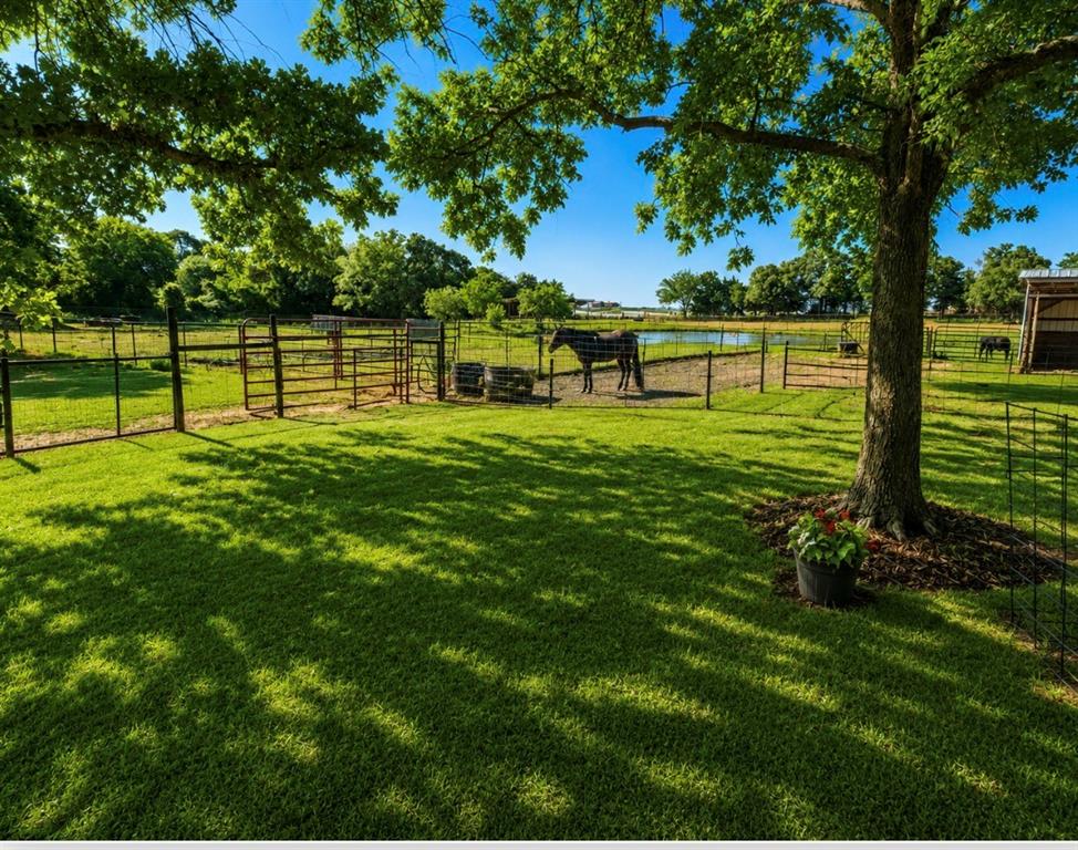 2801 County Road 115