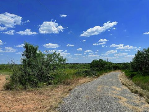 Photo of 12415 County Road 356, Anson, TX 79501 (MLS # 21195461)
