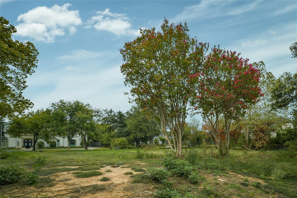 Manchester Downs - Land