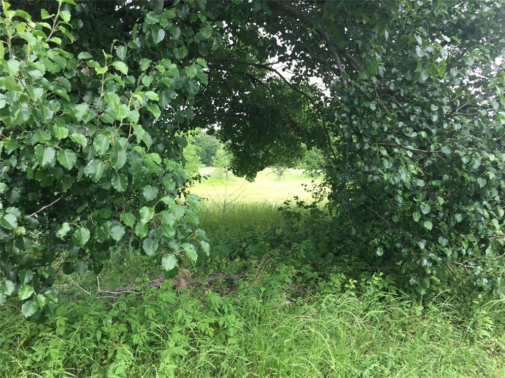 19117 County Road 4051