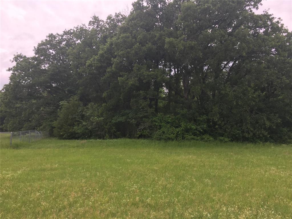19117 County Road 4051