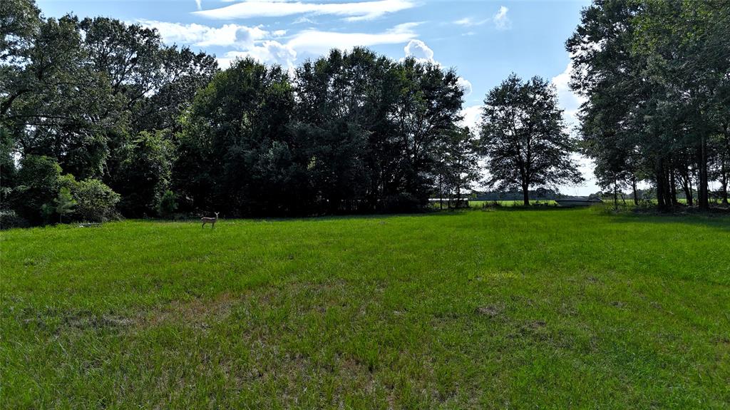 TBD County Road 4817