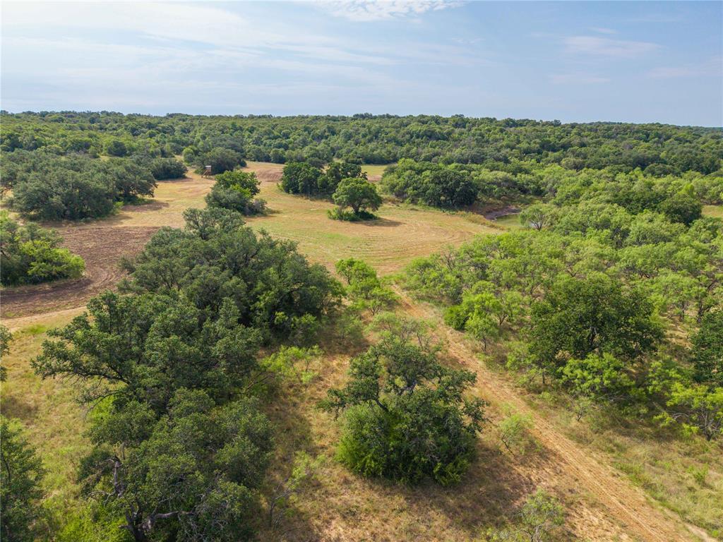 447 County Road 411