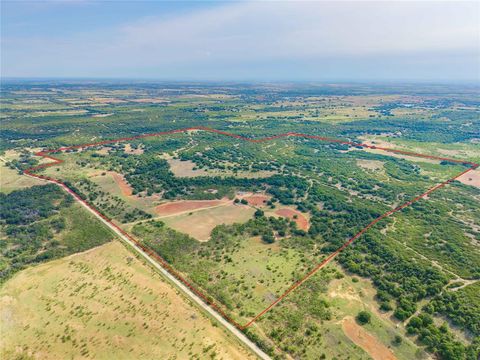 447 County Road 411 Coleman TX 76834