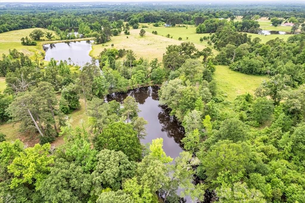 481 County Road 2766