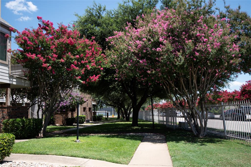 University Park Condo - Residential Lease