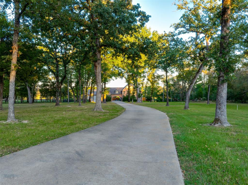 Pointe - Residential