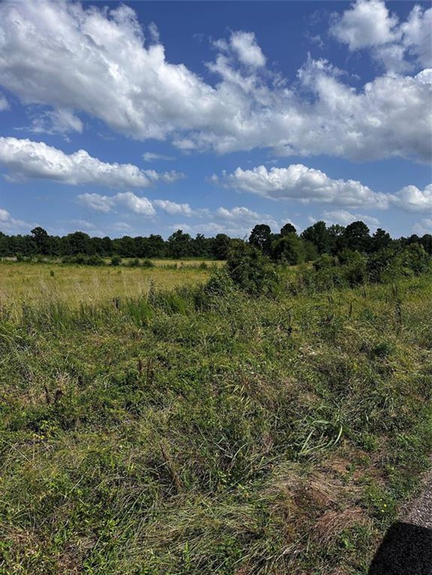 This expansive, fully fenced 44-acre property offers a perfect blend of open pastureland, scattered trees, and a peaceful pond—ideal for farming, ranching, recreation, or building your dream home. This property welcomes you with wide-open skies, endless views, and that rare sensation of finally being able to take a deep breath. As you step onto these 44 acres, the rhythm of everyday life begins to slow. The noise fades, replaced by fresh air and a quiet, grounding presence that invites you to picture a more intentional way of living. Simply being here feels like a getaway, with opportunities unfolding as far as the eye can see. With wide-open skies and plenty of space to roam, this versatile land is a rare find. 
Whether you're looking to create a homestead, invest in Texas land, or simply escape to nature, this property checks all the boxes.