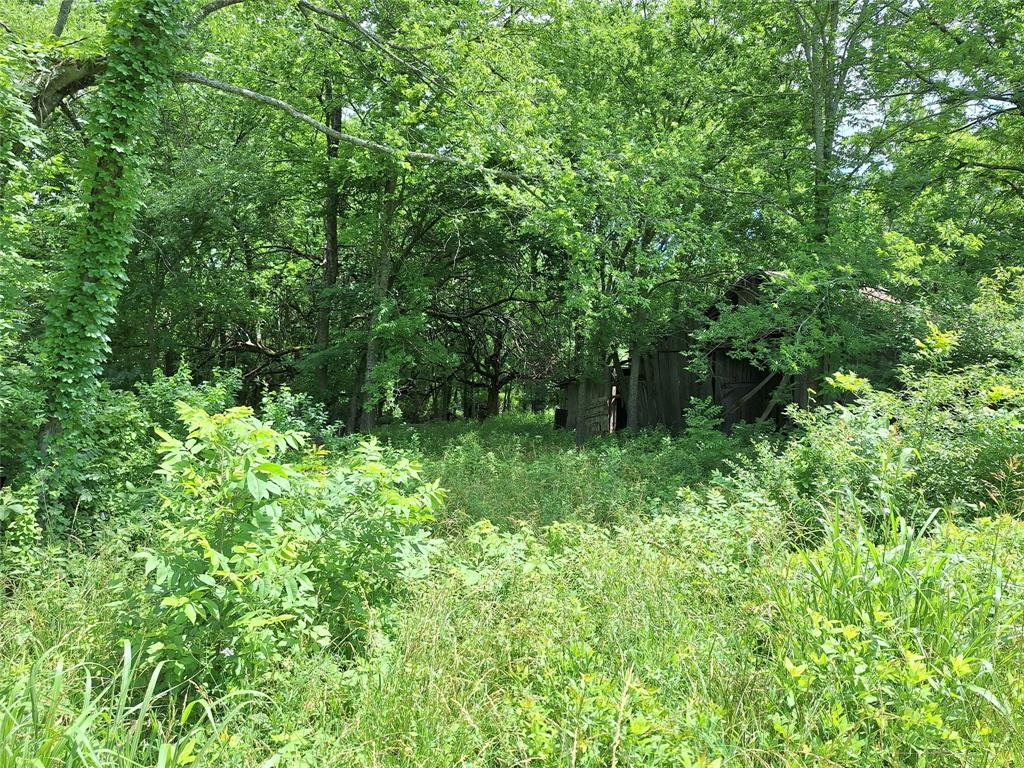 2403 County Road 3210