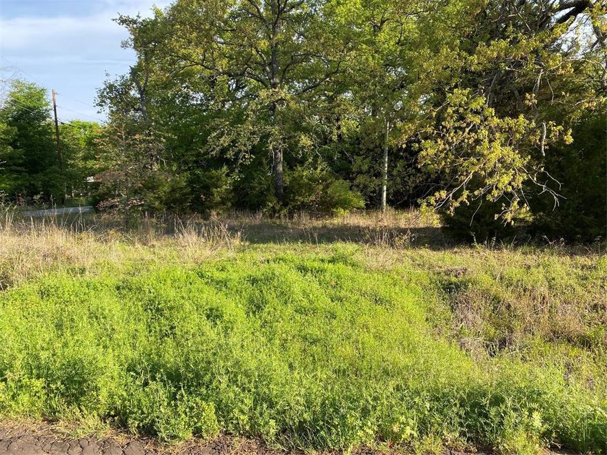 Beautiful wooded corner lot, ready to build your lake house or move a mobile on! Don't miss this one it's nice.