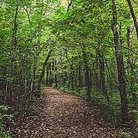 Edgewater Add Ph 2 - Land