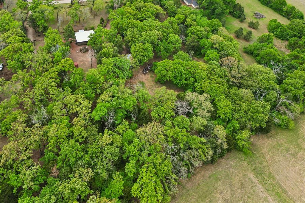 Forest Spgs Estate - Residential