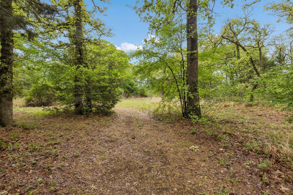 Forest Spgs Estate - Residential