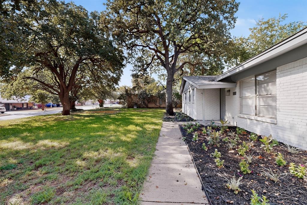 341 Arcadia Street