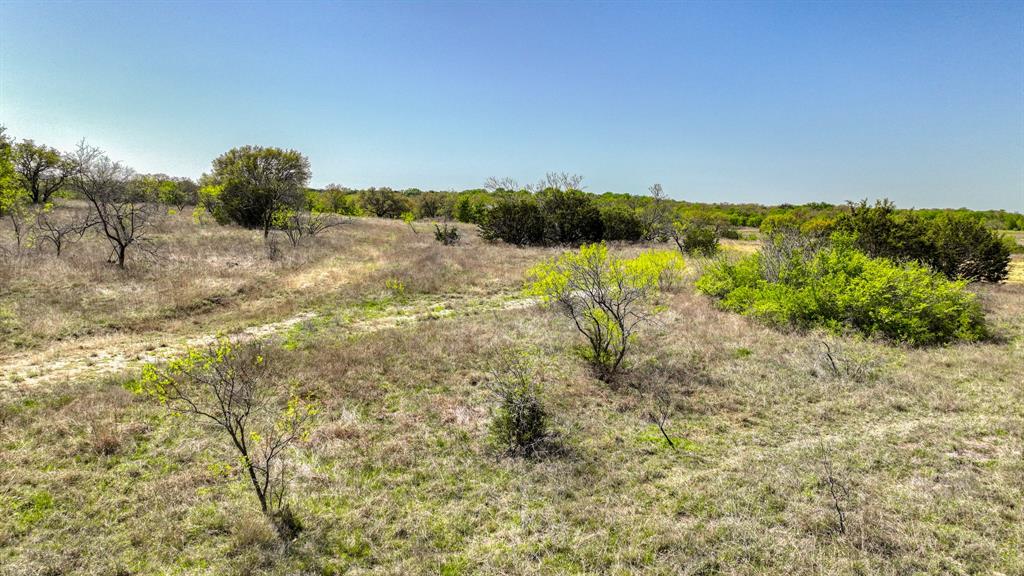 Blue Bonnet Ridge Ph - Land