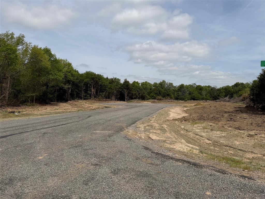 Lot 13 County Road 1110