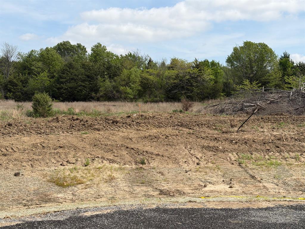 Lot 13 County Road 1110