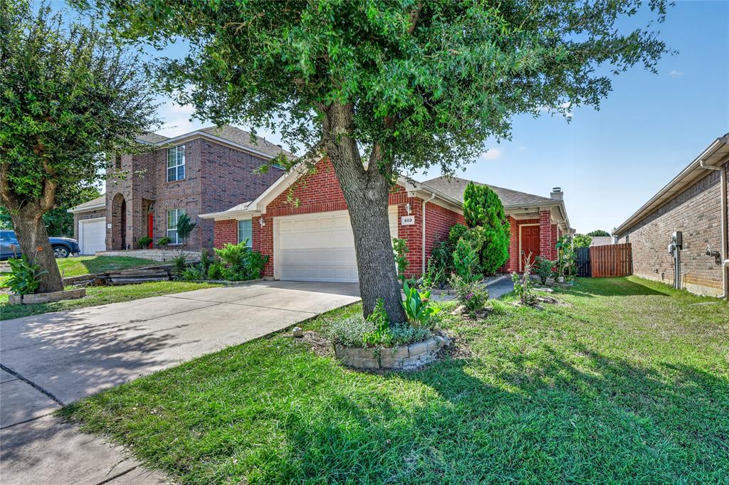 803 E Alexander Lane