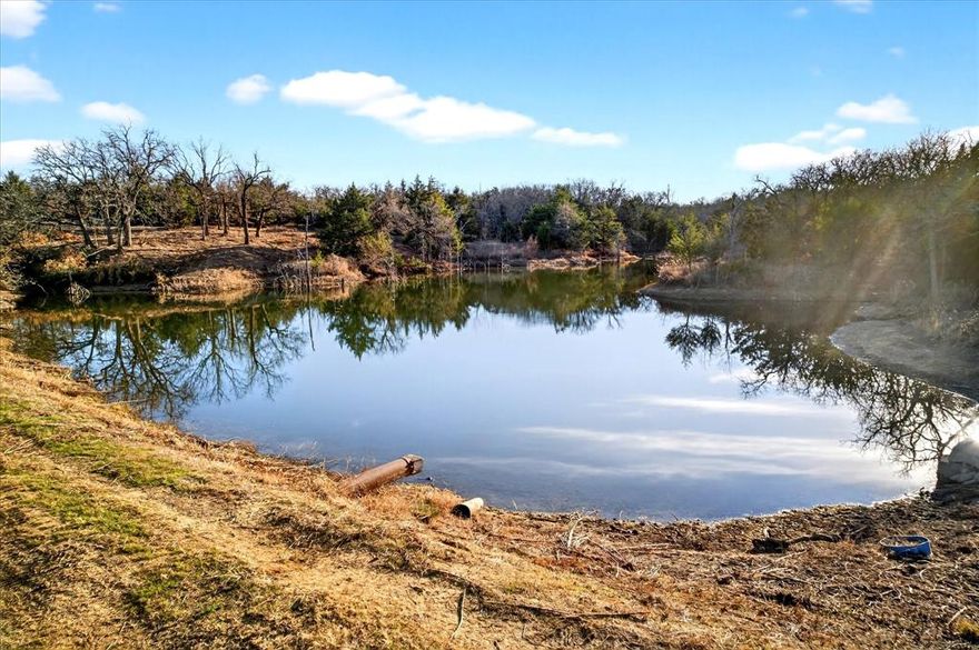 Incredible 93 acres of recreational land or investment opportunity located just 20 minutes northeast of Gainesville and the booming I35 corridor. Approximately 800 feet of frontage on well-maintained FM road!  Easily accessed via Highway 82 and FM 371, this property features mature hardwoods, extensive high fence, a half-acre beautifully cleared pond, and numerous ATV ready trails.  Whitetails are currently maintained on the property and a Wildlife Management exemption is in place.  Seller has recently stocked a group of North African Aoudads! A fresh survey and updated title abstract are available- see photos or MLS for additional maps.  Surveyed entrance on FM 371 with Woodbine Water and Pentex Electric readily available.
Gainesville, Texas, is located 60 miles north of Dallas and is recognized for its developing downtown, award-winning local wineries, and proximity to WinStar Casino.  With a growing population (18,000) and modest cost of living, it offers a blend of small-town charm with easy access to DFW or OKC.