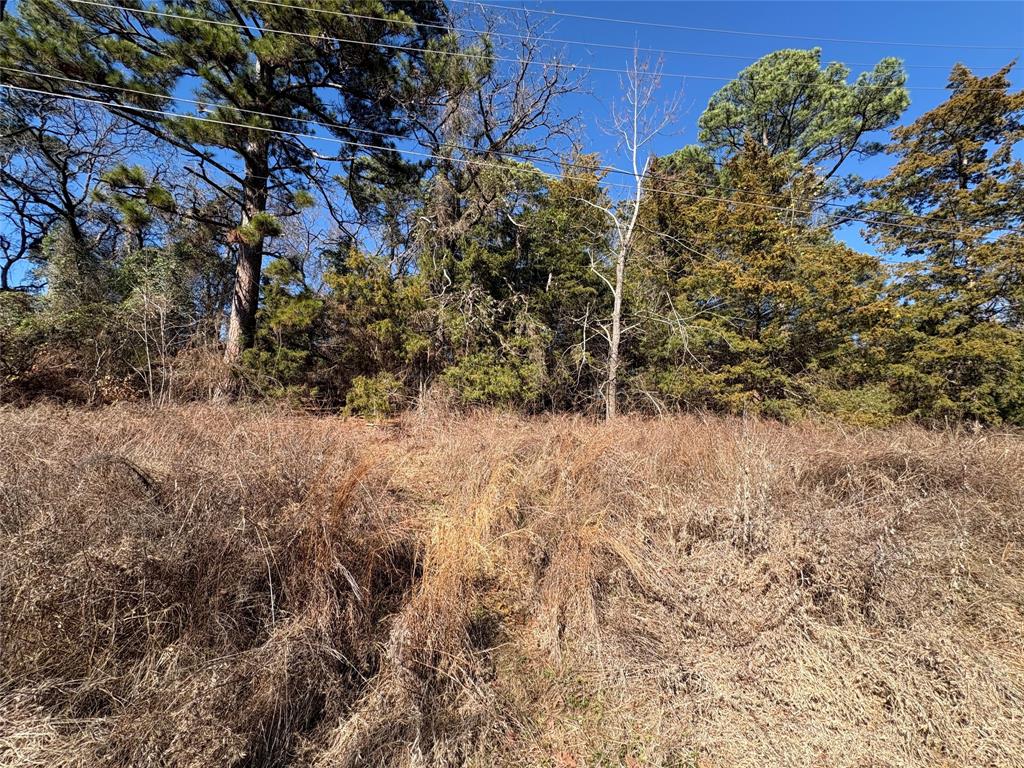 LAKEWAY HARBOR - Land